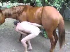 His horse fucks a dark-haired man with a little pecker straight into his asshole.